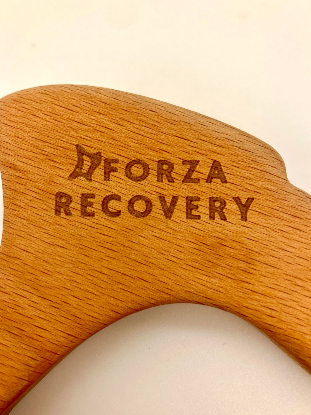 Forza Recovery
