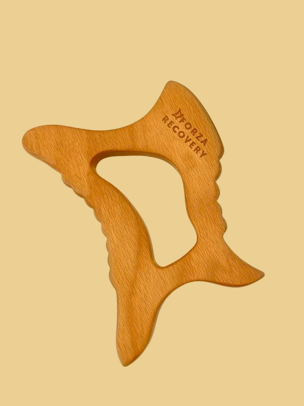 muscle recovery tool